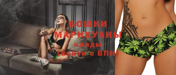 стафф Новозыбков
