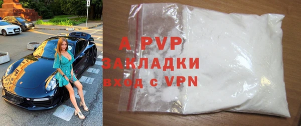 стафф Новозыбков