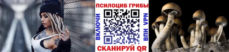 Галлюциногенные грибы мухоморы  Шахунья 